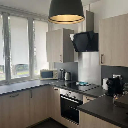 Proche Des Facs Lebon *